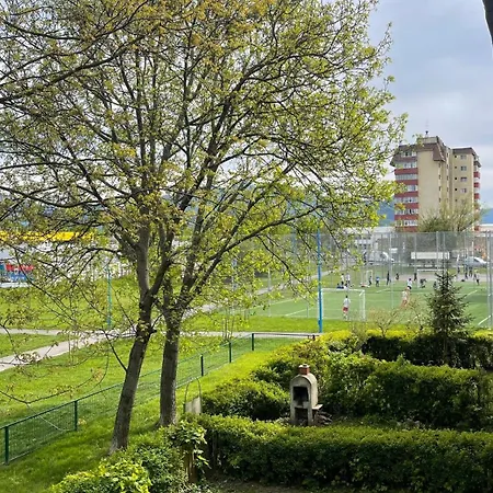 Apartment Traveler's Retreat Brasov